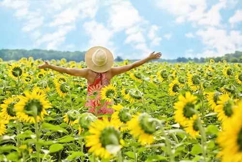 lucha_t8_blog_sunflower_woman_happy